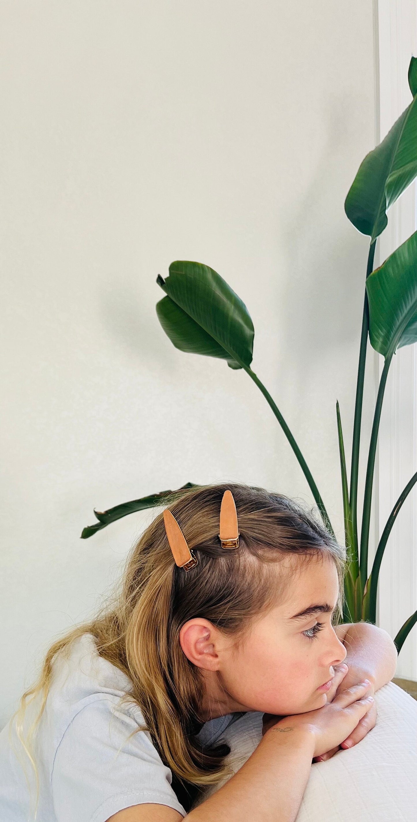 Wood and metal Plastic FREE hair clip